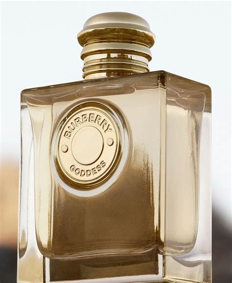 burberry perfume at macy's|burberry goddess perfume 3.3 oz.